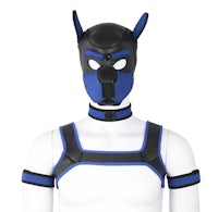 a mannequin wearing a blue and black dog mask